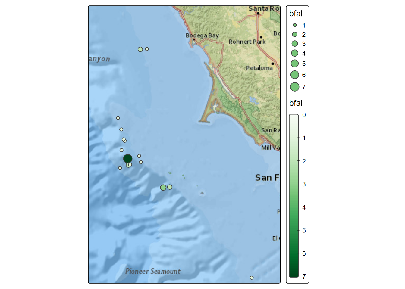 Black-footed albatross counts, July 2006